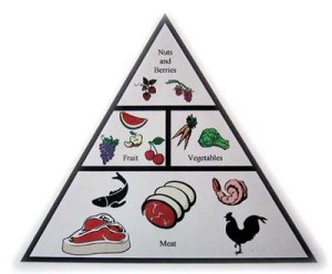Paleo-Diet-Pyramid